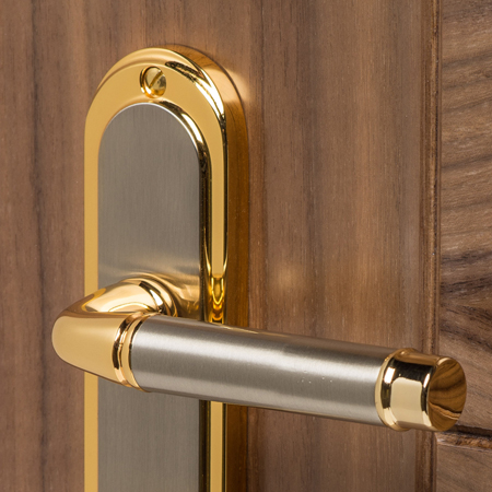 Heritage Brass Brass Handles on a Backplate
